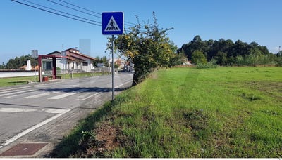 /international/pt/sangalhos-aveiro-310104617429/