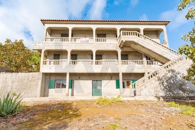 /international/pt/gaula-madeira-310105925201/