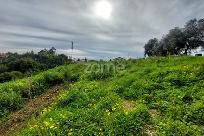 /international/pt/agueda-aveiro-120090143565/?lang=pt