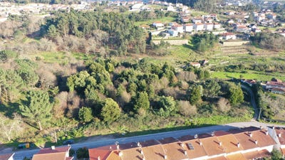 /international/pt/rua-de-vilacetinho-varzea-santarem-310100662497/
