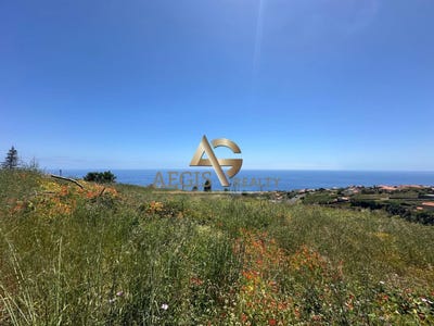 /international/pt/estreito-da-calheta-madeira-310107413026/