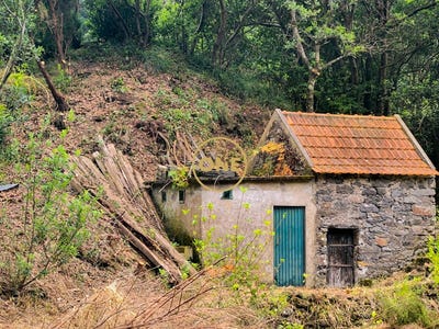 /international/pt/seixal-pmz-setubal-municipality-310108242473/