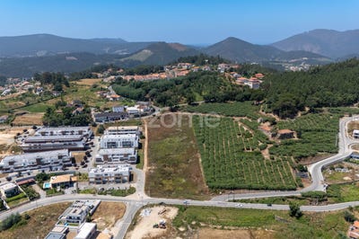 /international/pt/castelo-de-paiva-aveiro-310101157646/