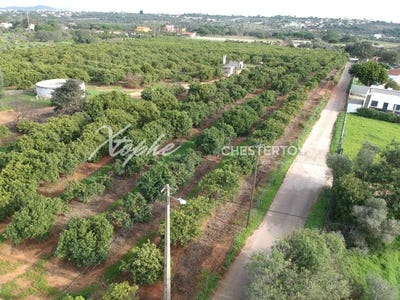 /international/pt/loule-sao-sebastiao-faro-310100889855/?lang=zh-cn
