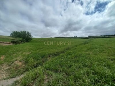 /international/pt/pjgf-6g-ponta-garca-portugal-ilha-de-sao-miguel-azores-310109199024/