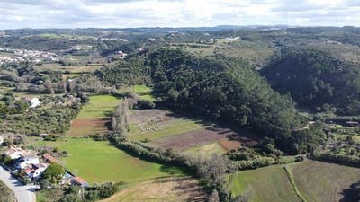 /international/pt/mafra-lisbon-120097563233/
