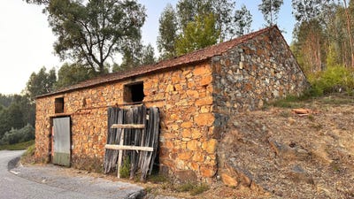 /international/pt/pedrogao-grande-portugal-pedrogao-grande-leiria-310103095006/