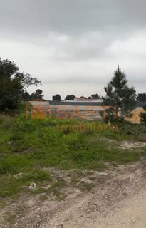 /international/pt/fernao-ferro-setubal-municipality-310106401615/