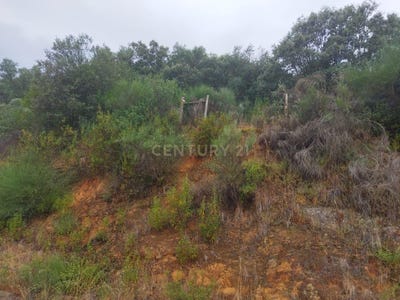 /international/pt/montinho-escalos-de-cima-castelo-branco-310105235373/