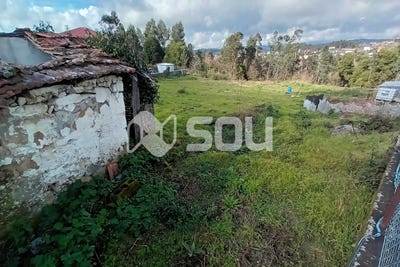 /international/pt/quinchaes-fafe-braga-310101279089/