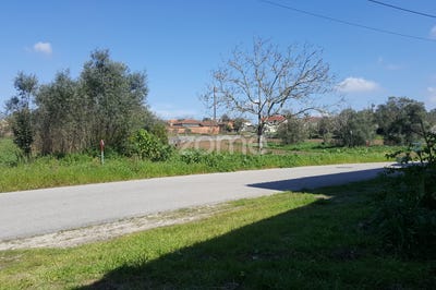 /international/pt/leiria-leiria-310098611571/