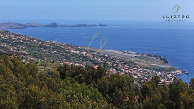 /international/pt/gaula-madeira-310107559834/