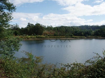 /international/pt/oliveira-do-mondego-e-travanca-do-mondego-coimbra-310107255426/