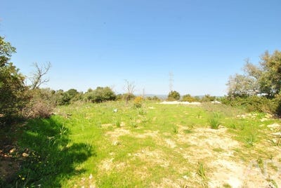 /international/pt/faro-faro-310106592123/