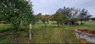 /international/pt/grandola-setubal-municipality-310102105087/