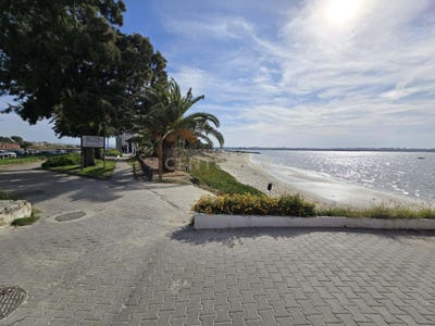 /international/pt/estrada-esteiro-furado-moita-portugal-moita-setubal-municipality-310103218987/
