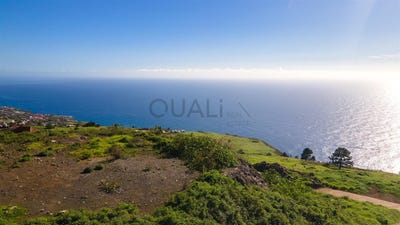 /international/pt/prazeres-madeira-310103277656/