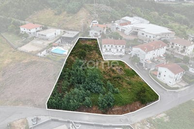 /international/pt/guimaraes-braga-310100487482/
