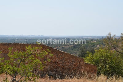 /international/pt/albufeira-faro-310107216018/