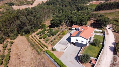 /international/pt/leiria-leiria-310102670523/