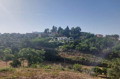 /international/pt/mealhada-aveiro-120091185607/?lang=zh-tw