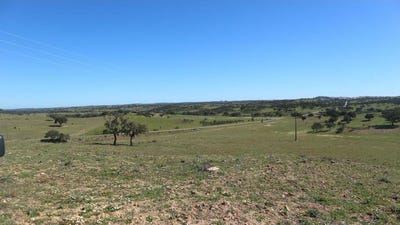 /international/pt/ourique-municipality-beja-120096624893/