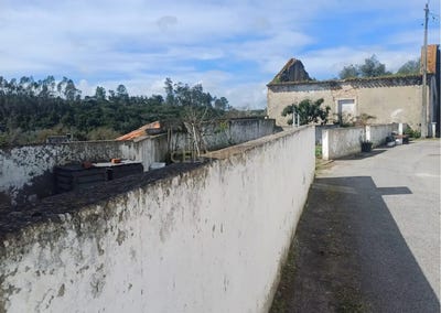 /international/pt/calcada-da-fonte-do-choupal-almoster-santarem-310101354890/