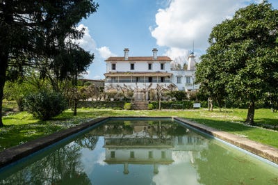 /international/pt/paredes-viana-do-castelo-310098553207/