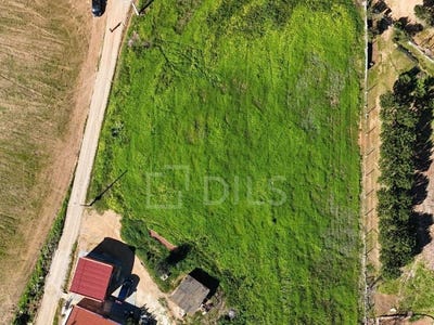 /international/pt/santa-susana-setubal-municipality-310104795410/