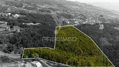 /international/pt/santa-cruz-santa-cruz-madeira-310102458846/
