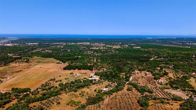 /international/pt/grandola-setubal-municipality-310108924748/