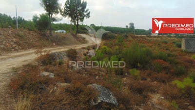 /international/pt/abacas-vila-real-vila-real-310102842994/