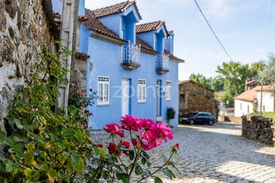 /international/pt/macedo-de-cavaleiros-braganca-120087927935/