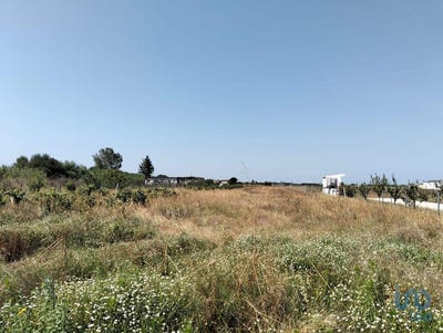 /international/pt/santarem-santarem-310100953195/