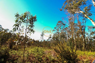 /international/pt/quinta-grande-madeira-310108211031/