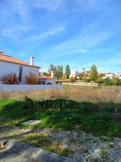 /international/pt/meia-via-santarem-310103745731/