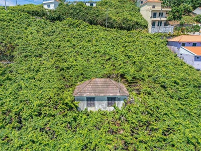 /international/pt/estreito-de-camara-de-lobos-madeira-310108104337/