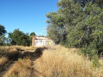 /international/pt/portalegre-portalegre-310109123669/?lang=id