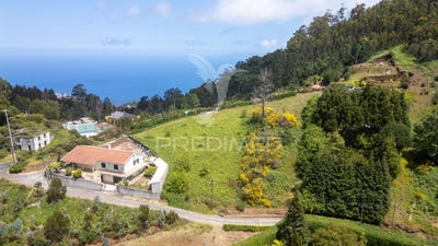 /international/pt/camacha-santa-cruz-madeira-310100168321/