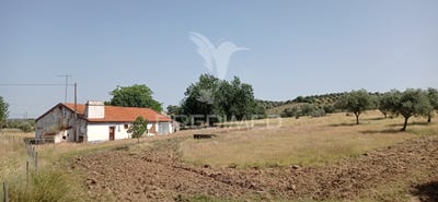 /international/pt/pavia-mora-braganca-310098288411/