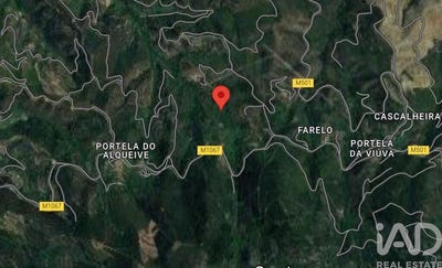 /international/pt/faro-faro-310108835290/