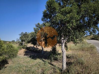 /international/pt/corte-do-gago-castro-marim-faro-310100861204/?lang=fr