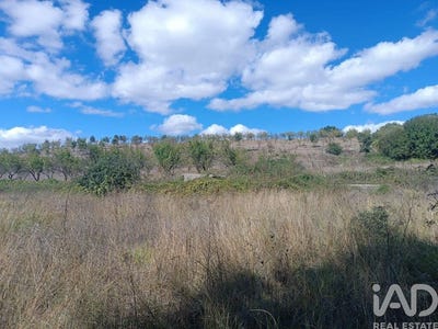 /international/pt/braganca-braganca-310100874138/