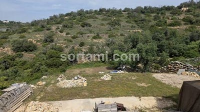 /international/pt/loule-faro-310107791328/