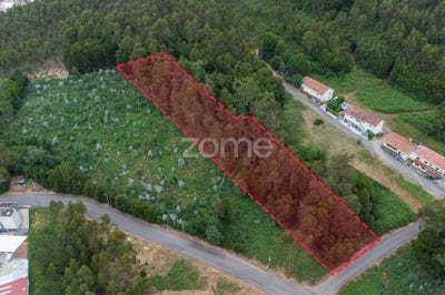 /international/pt/vila-nova-de-gaia-porto-310101276839/
