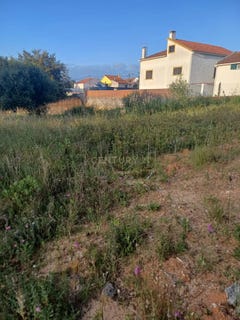 /international/pt/fernao-ferro-setubal-municipality-310100673219/