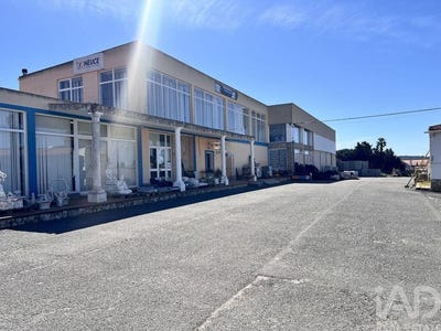 /international/pt/melides-setubal-municipality-310107775000/