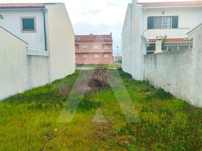 /international/pt/sao-jacinto-aveiro-310100274106/