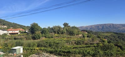 /international/pt/53f6-6g-gesta-portugal-gesta-porto-310105102077/