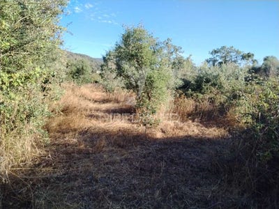/international/pt/ribeira-de-nisa-e-carreiras-portalegre-portalegre-310101043050/